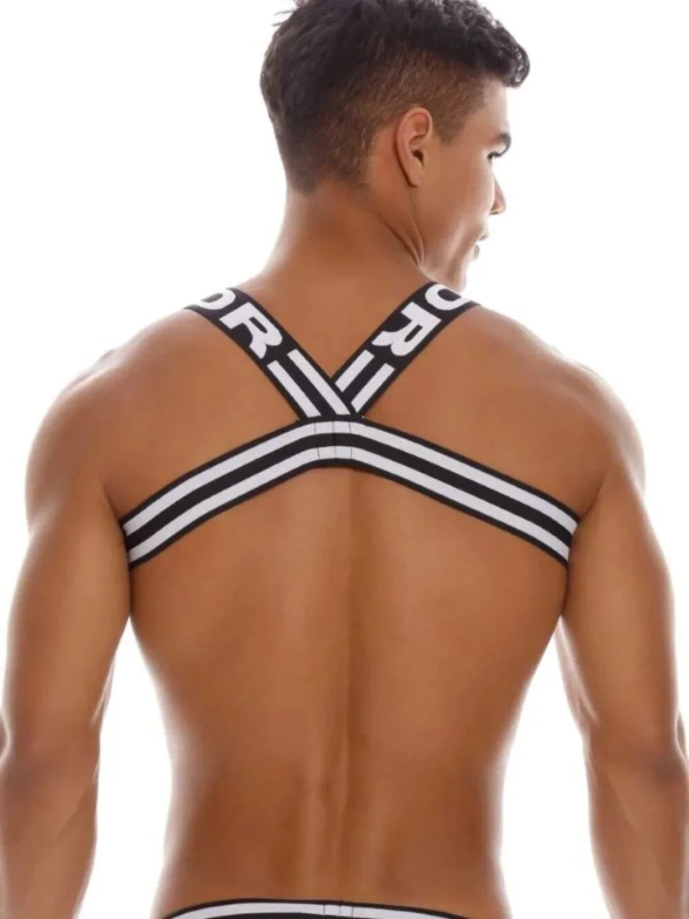 [XL]   Pistons Black & White Harness by JOR 1603